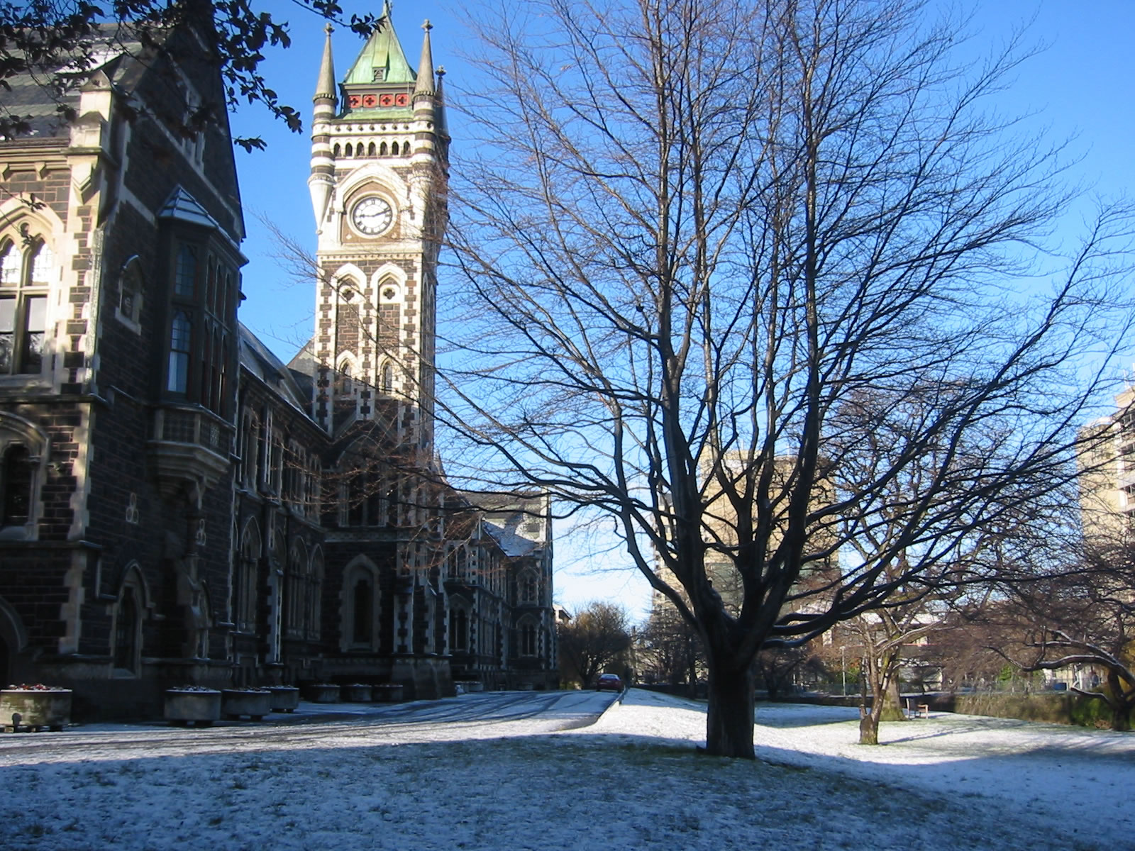 Otago University in Dunedin, Cold and Snowing